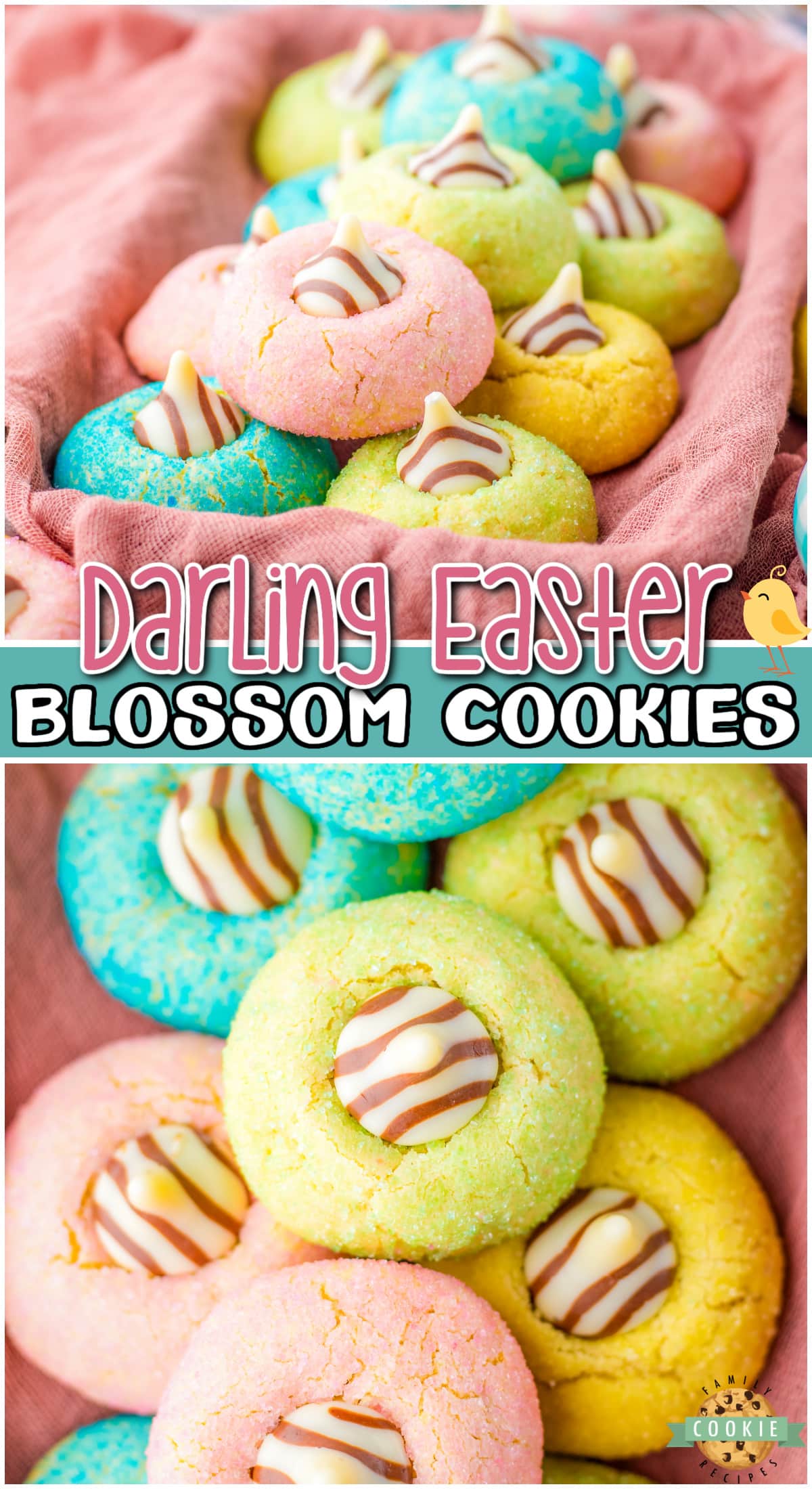 Easter Blossom Cookies are rolled in pastel sanding sugar before being baked and topped with a chocolate kiss. Lovely simple Easter cookies are a festive family favorite!