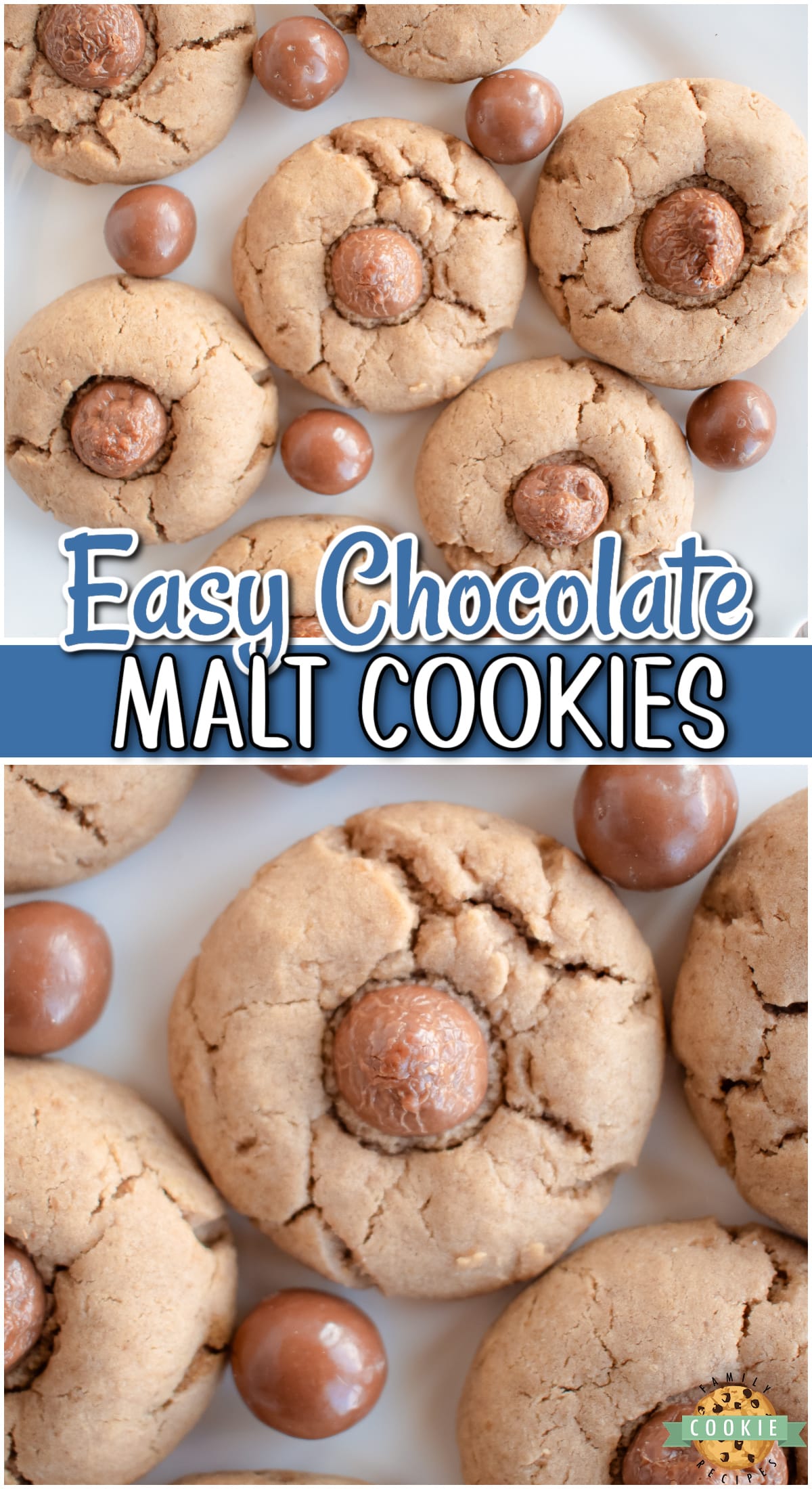 Chewy Chocolate Malt cookies made with classic cookie ingredients, including malt powder & topped with a chocolate malt ball! Enjoy the great flavor in these whopper candy cookies!
