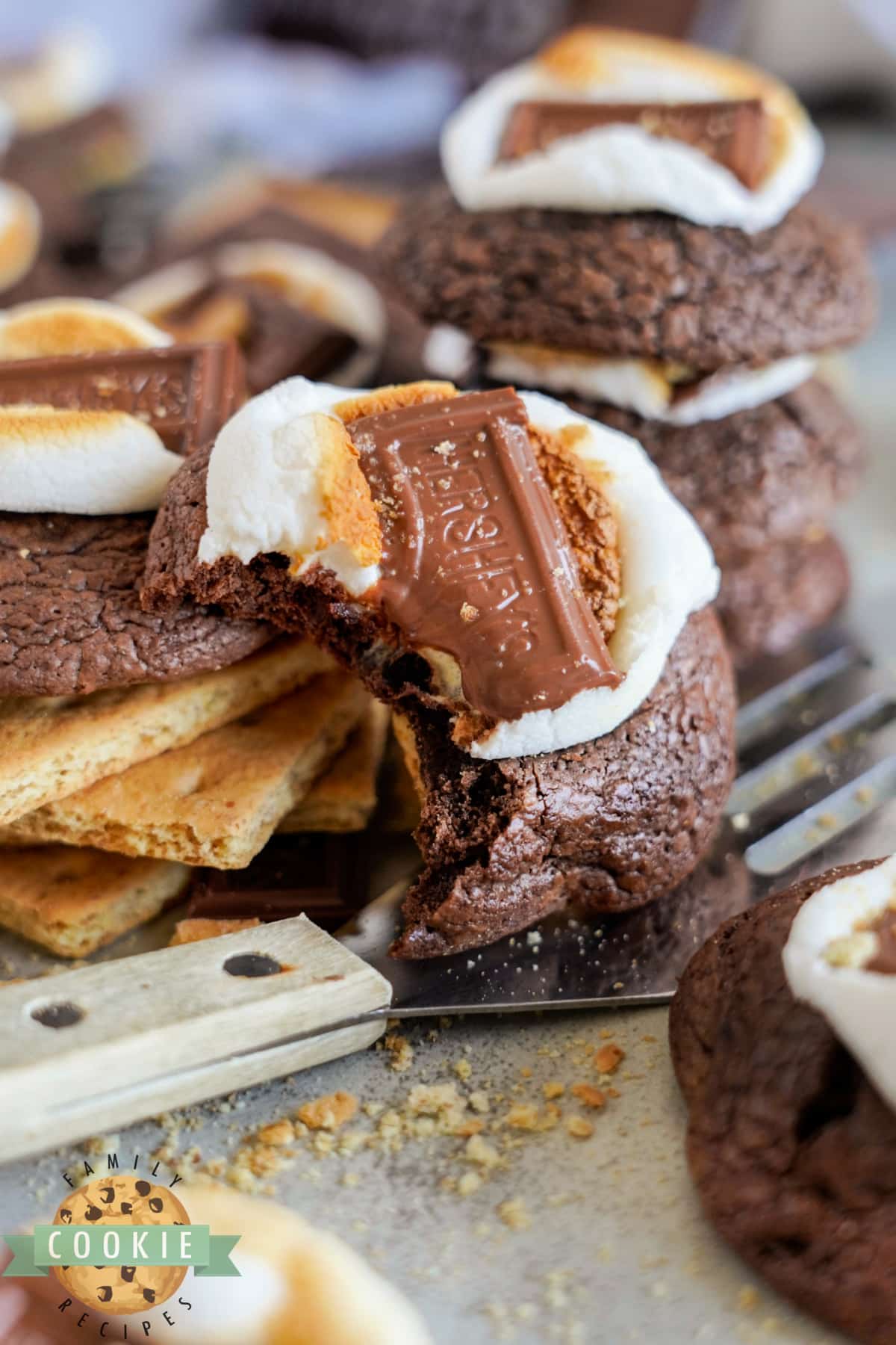 Brownie cookie with marshmallows, graham crackers, and chocolate bar. 