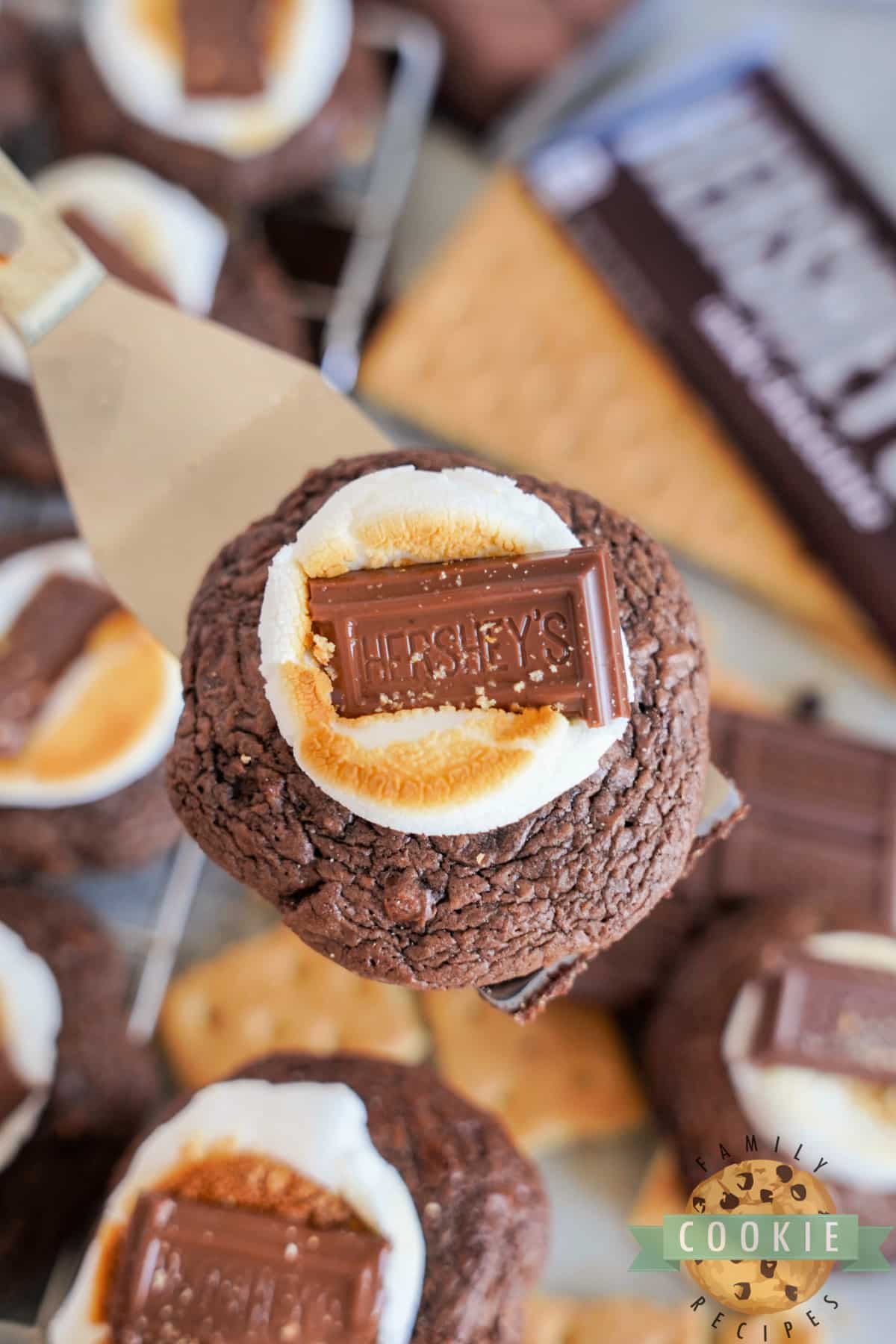 Brownie S'mores Cookie recipe. 