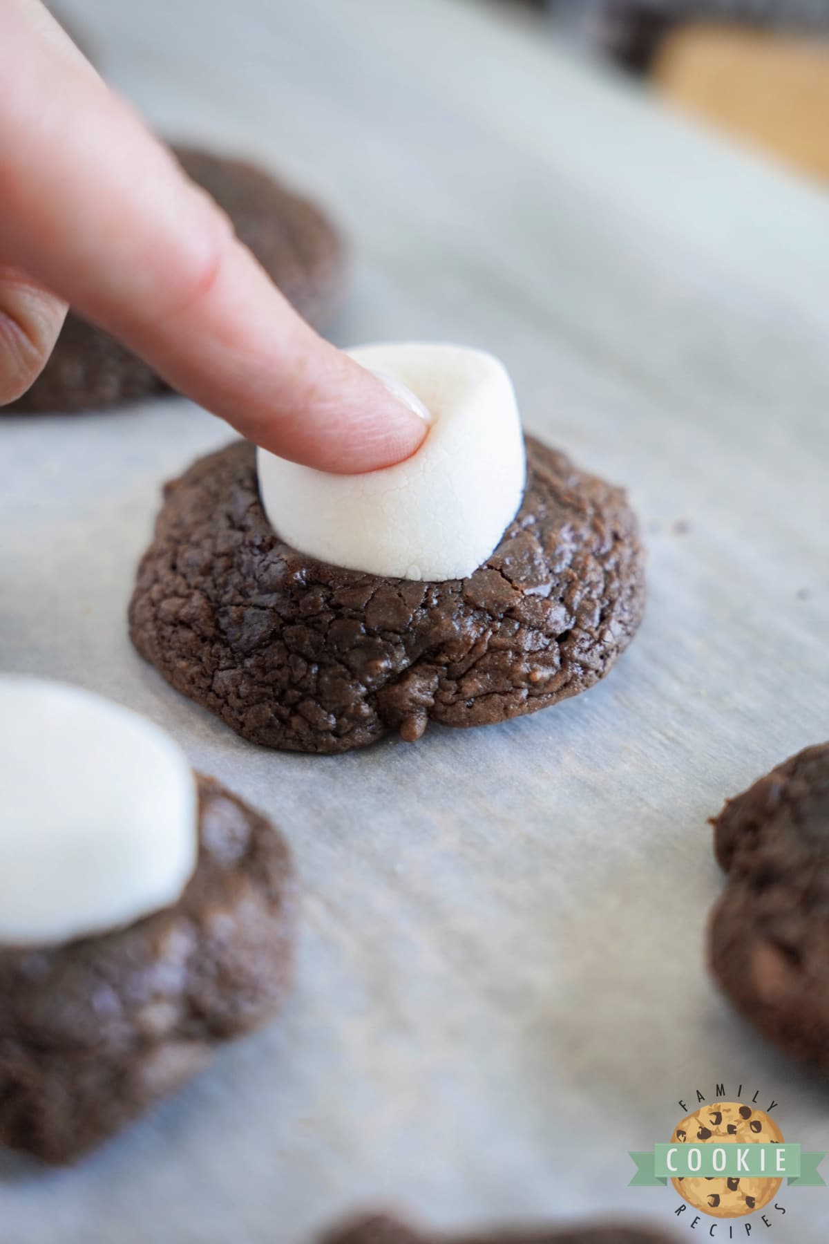 Press half of marshmallow on top of chocolate cookie. 