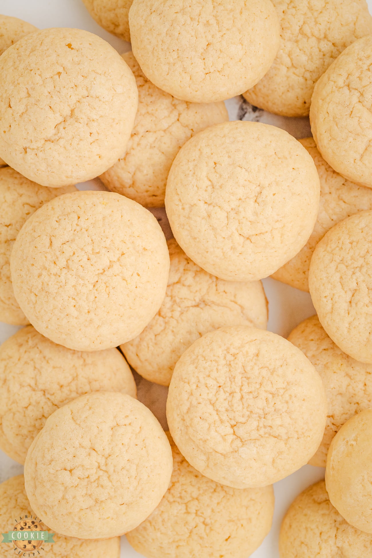 copycat Nilla wafer cookies