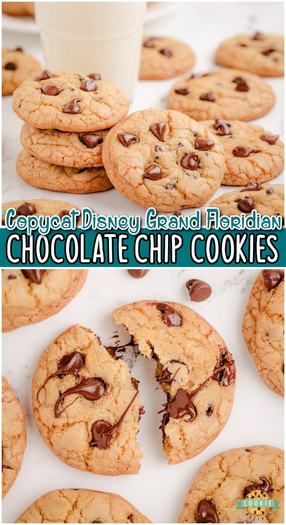 Copycat Grand Floridian Hotel Chocolate Chip Cookie recipe just like from the park! Fantastic cookies that are crisp on the outside and chewy on the inside with great flavor!