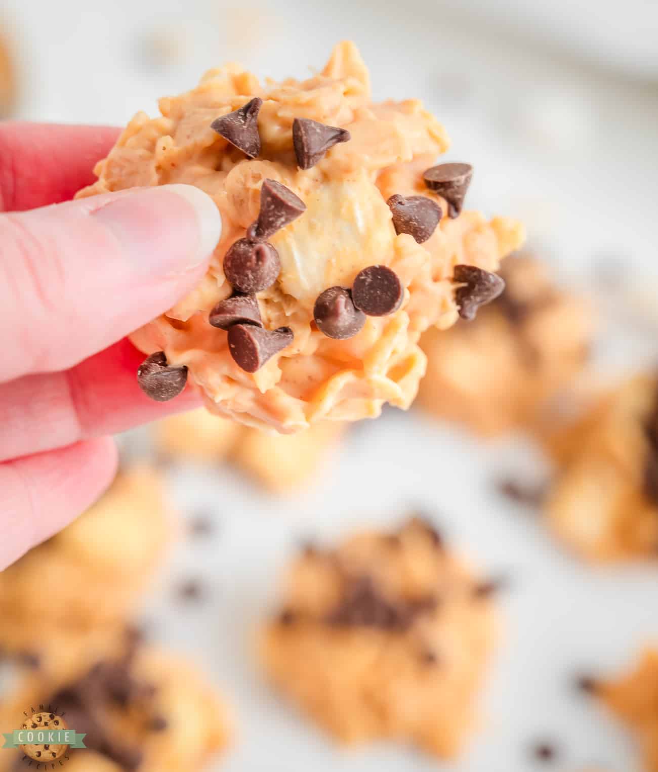 holding a peanut butter avalanche cookie