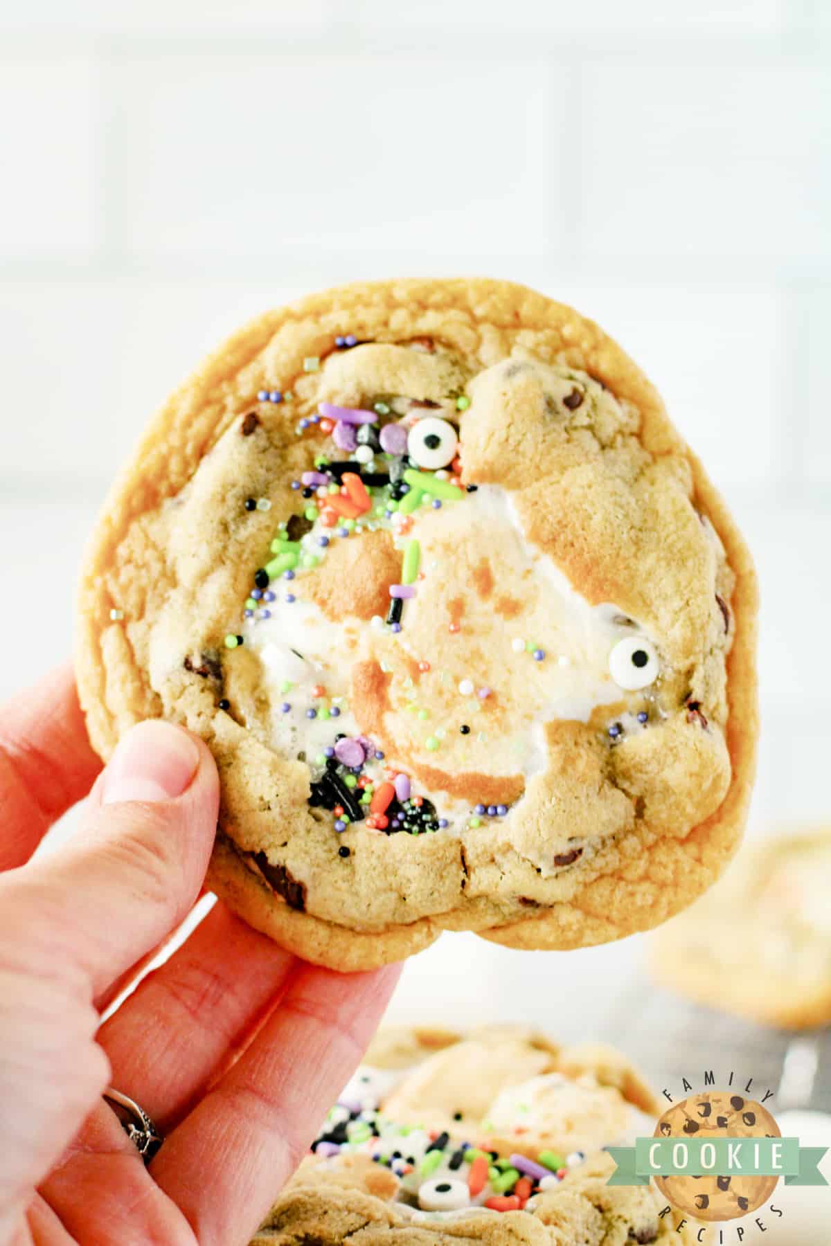 Monster Stuffed S'mores Cookies are chocolate chip cookies stuffed with Hershey bars and marshmallows. Add some monster eyes and festive sprinkles to make perfect Halloween cookies!