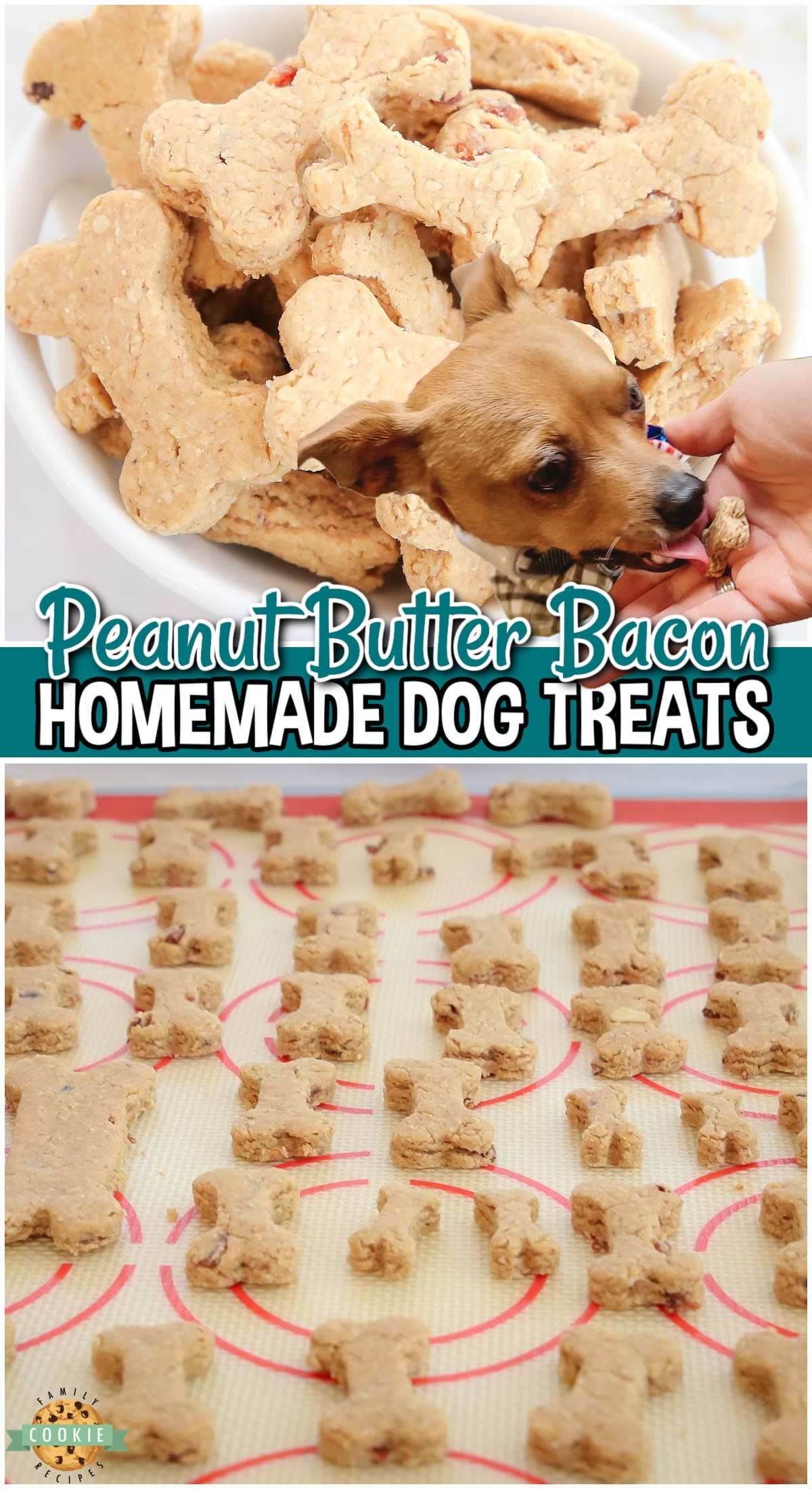 Peanut Butter Bacon Dog Biscuits are simple treats your dog will LOVE! Made with homemade oat flour, combined with peanut butter & crumbled bacon for a protein packed dog treats that will be devoured!