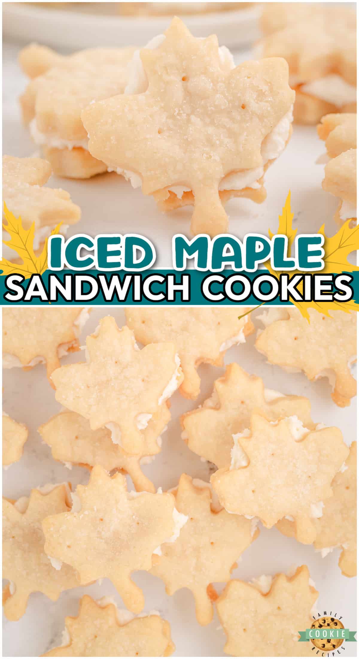 Maple Sandwich Cookies are simple buttery cookies rolled & cut with maple leaf cookie cutters and sandwiched with a silky maple buttercream!