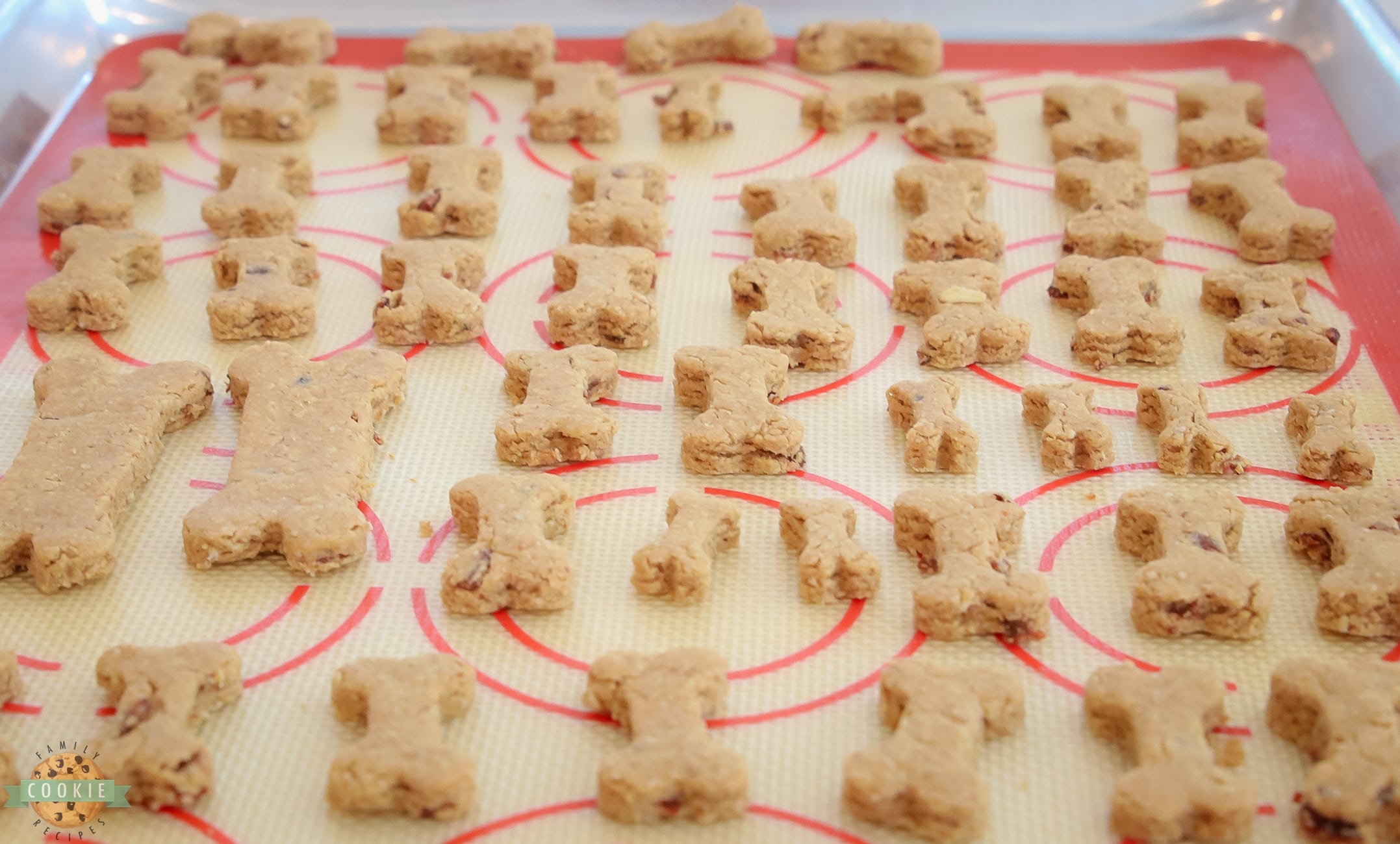 homemade dog biscuits on a silpat mat