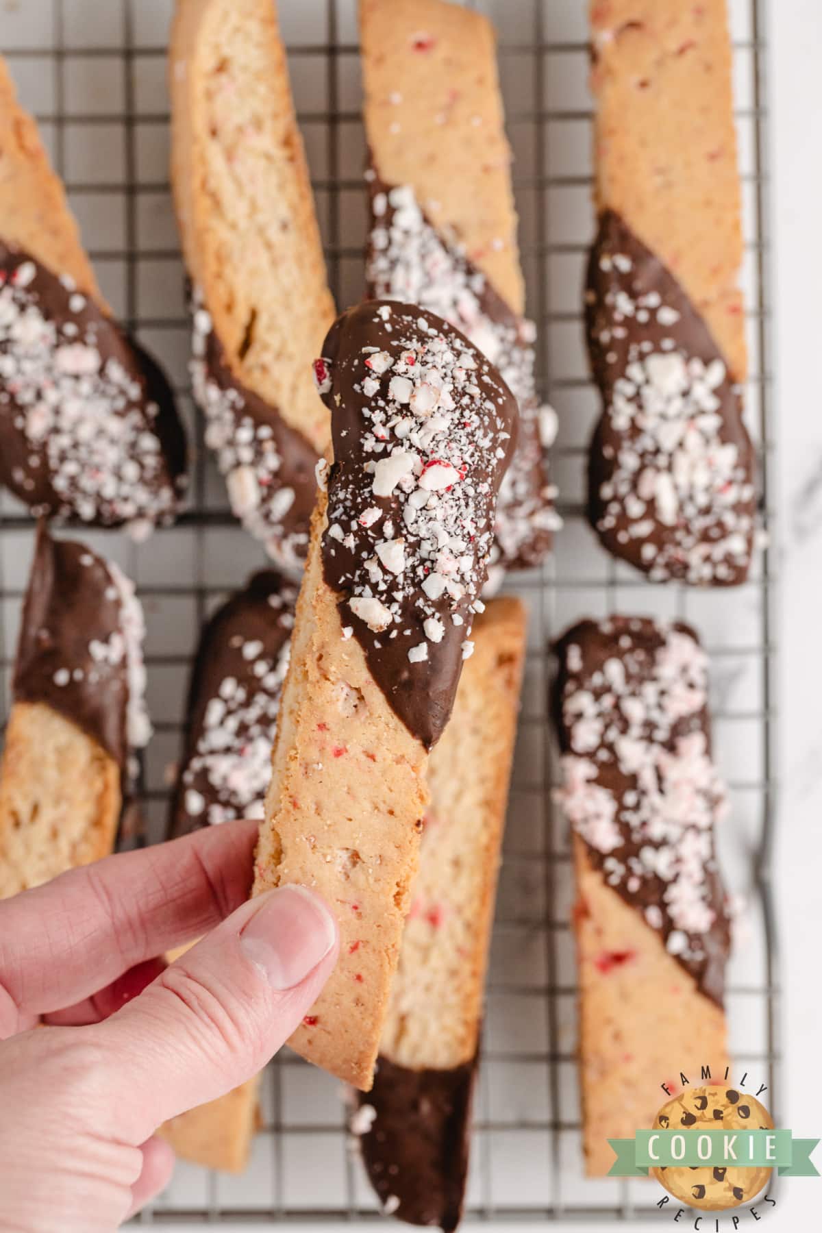 Biscotti cookie recipe made with peppermint and chocolate. 