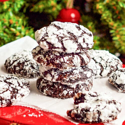 Raspberry-Chocolate-Crinkle-