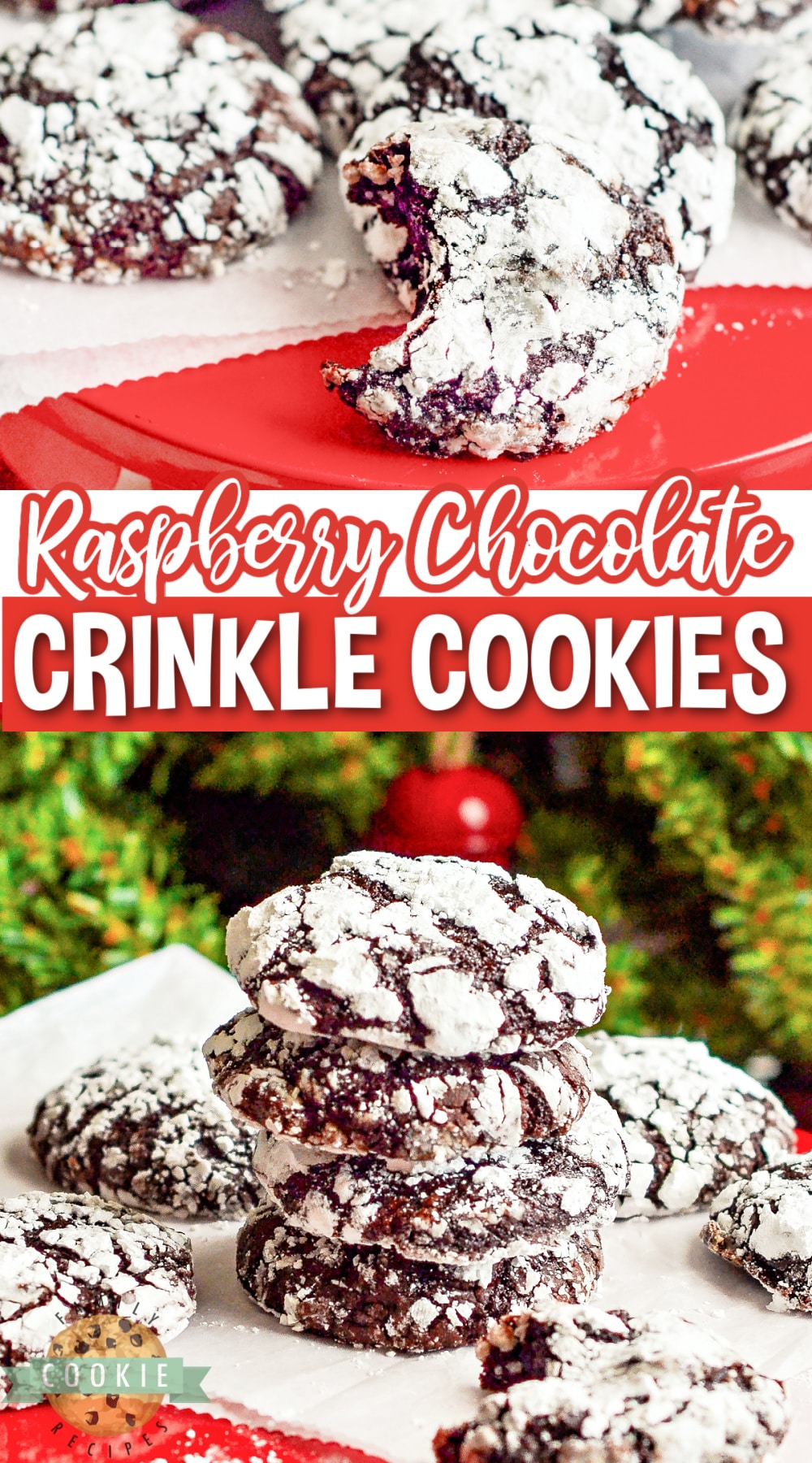 Raspberry Chocolate Crinkle Cookies are soft, chewy, and full of flavor. Adding raspberry preserves gives this classic chocolate crinkle cookie recipe a delicious twist! 