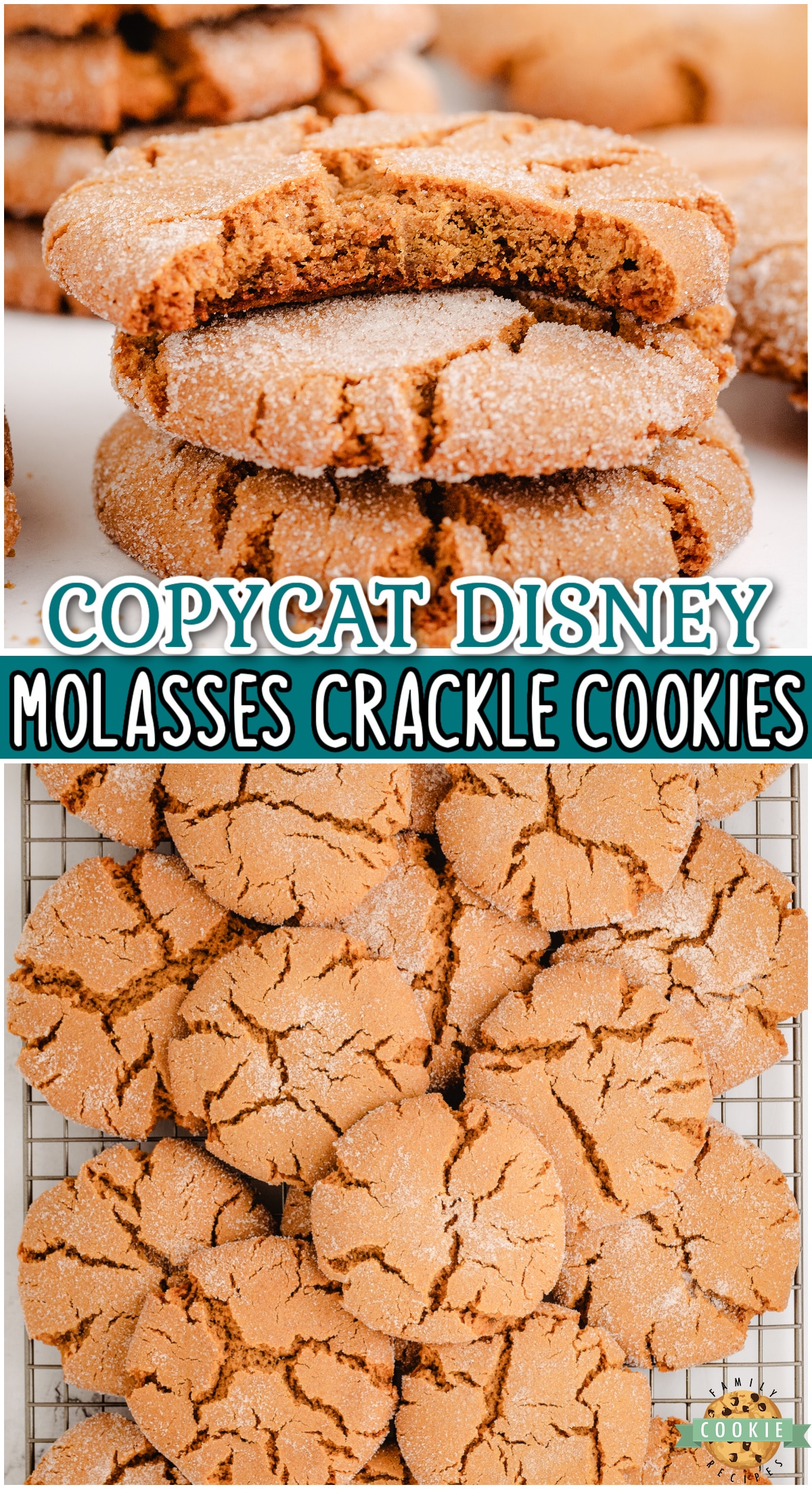 Molasses Crackle Cookies just like the ones at Disney's Wilderness Resort! Chewy cookies with delightful molasses ginger flavor that are perfect for the holiday season!