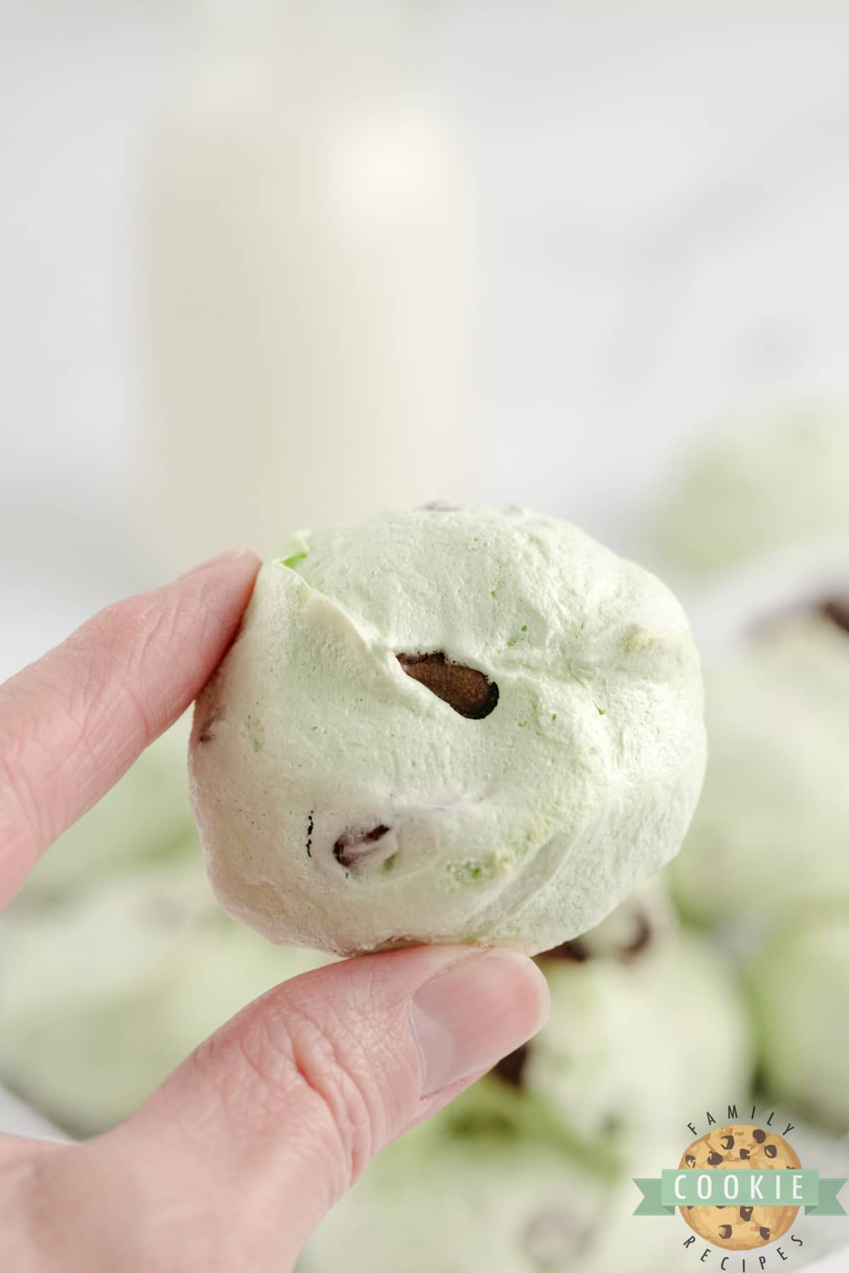 Mint Chocolate Chip Meringue Cookies are light, a little bit crunchy, and packed with mint flavor. Add some chocolate chips to make unique cookies that look as good as they taste! 