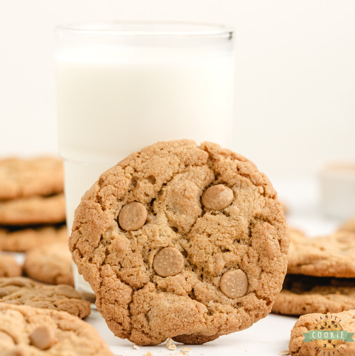 Crunchy Peanut Butter Cookies made with oats and Grape Nuts for extra texture! A unique twist on a classic, chewy and crispy in every bite.