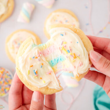 magical rainbow marshmallow cookies
