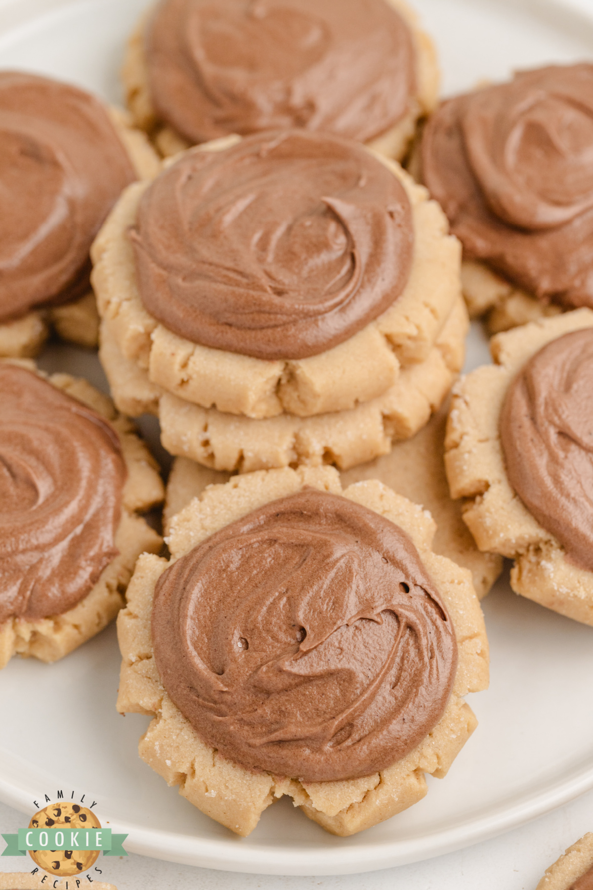 Thick, chewy peanut butter cookies frosted with chocolate frosting. 