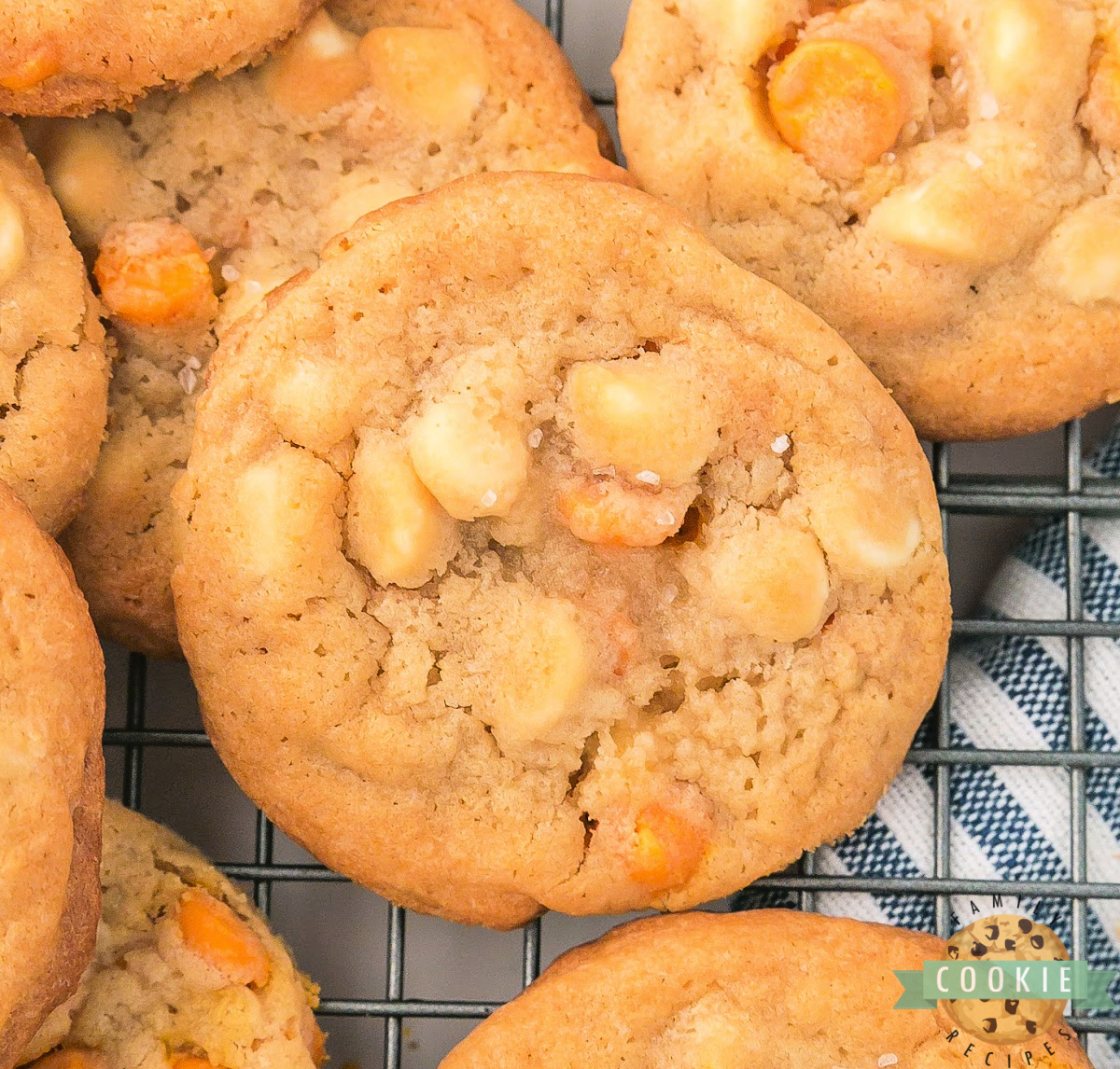 Salted Caramel White Chocolate Chip Cookies are soft, chewy, and sweet-salty. An easy, crowd-pleasing cookie for any dessert craving.