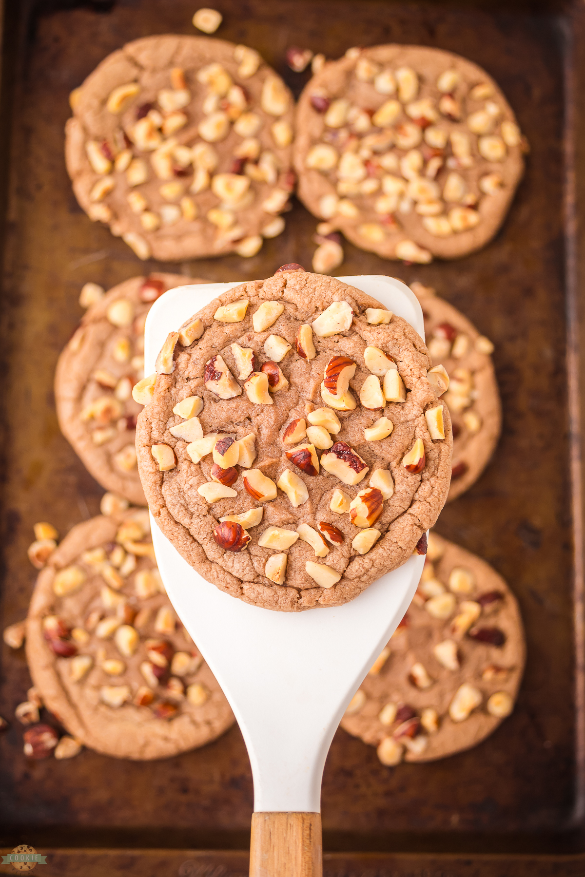 serving up a chocolate hazelnut cookie