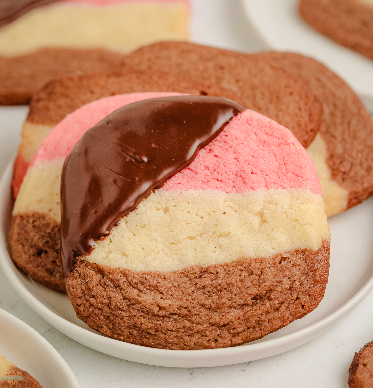 chocolate dipped neapolitan cookies