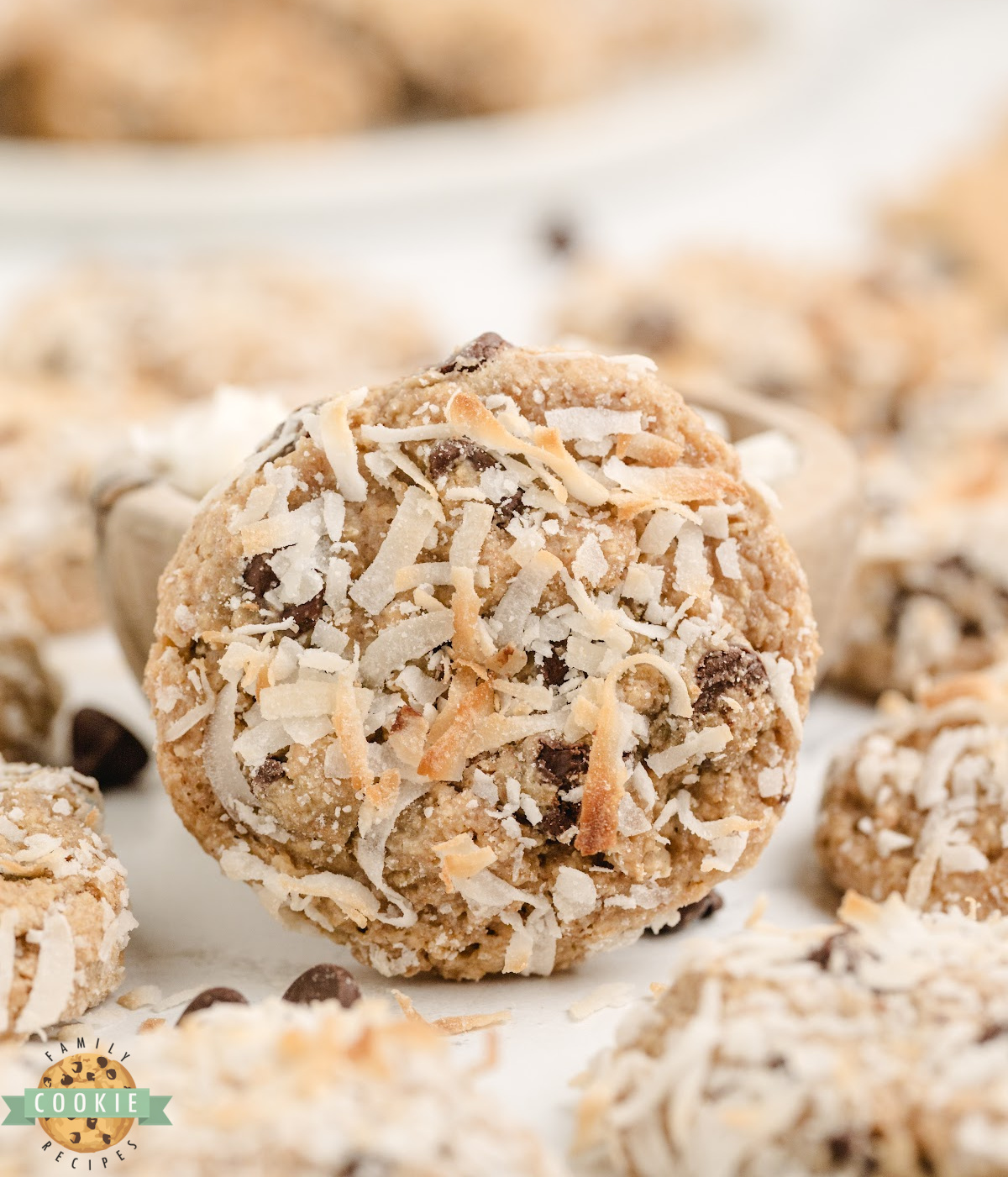 Close-up of shredded coconut coating on chewy graham cracker cookie recipe.