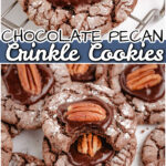 Chocolate Pecan Crinkle Cookies made easy with a cake mix, baked & topped with a luscious chocolate glaze & a pecan. A wonderful blend of fudgy texture and nutty crunch, perfect for the holiday season!