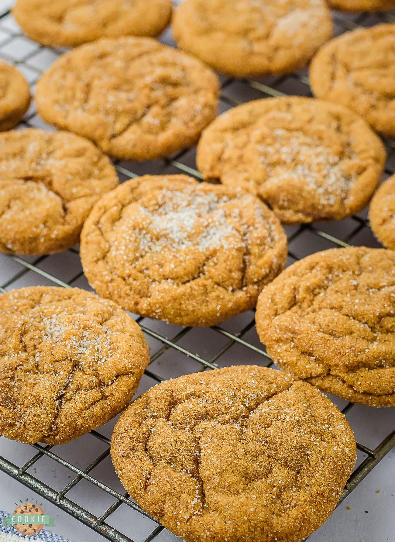 chewy gingerbread cookies rolled in sugar
