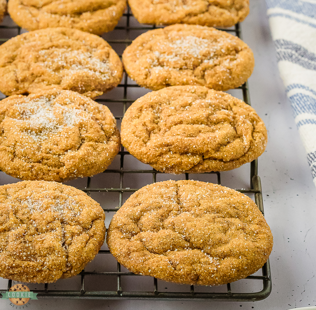 chewy gingerbread cookies on a cooling rack