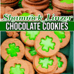 Shamrock Chocolate Linzer Cookies made with buttery crisp chocolate cookies sandwiched with a silky white chocolate ganache tinted green for St. Patrick's Day!