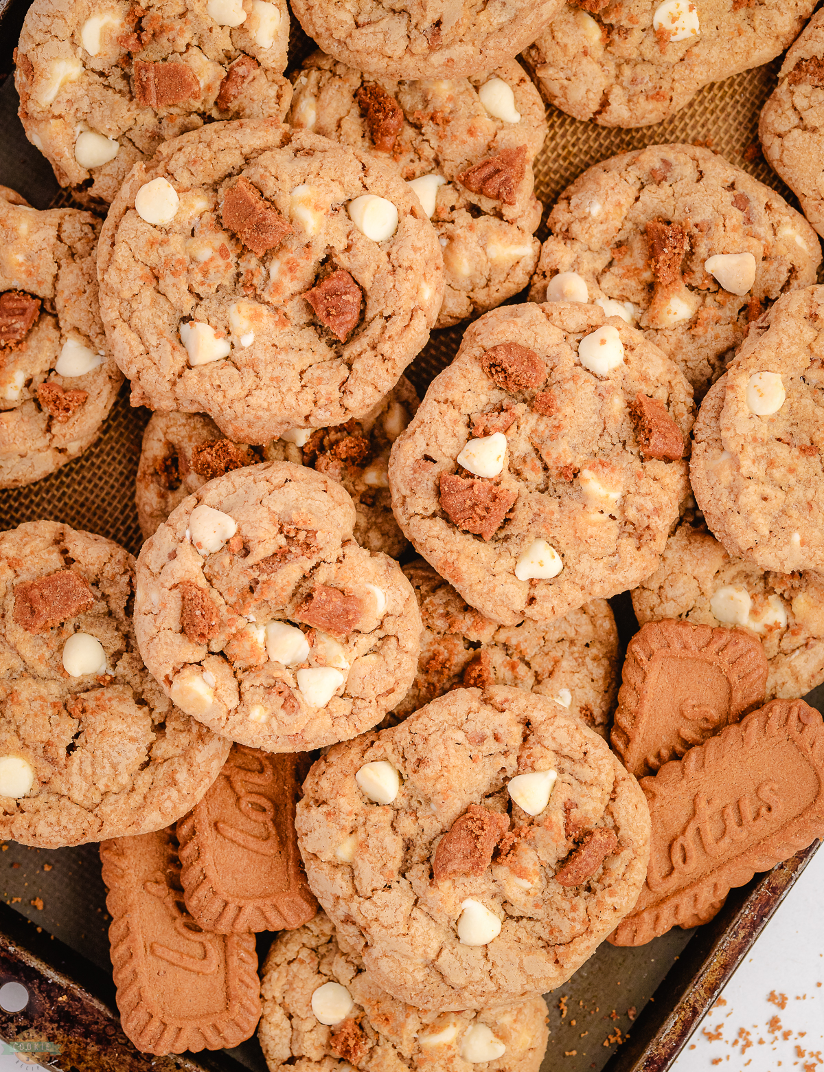 tray of Biscoff cookies with white chocolate chips