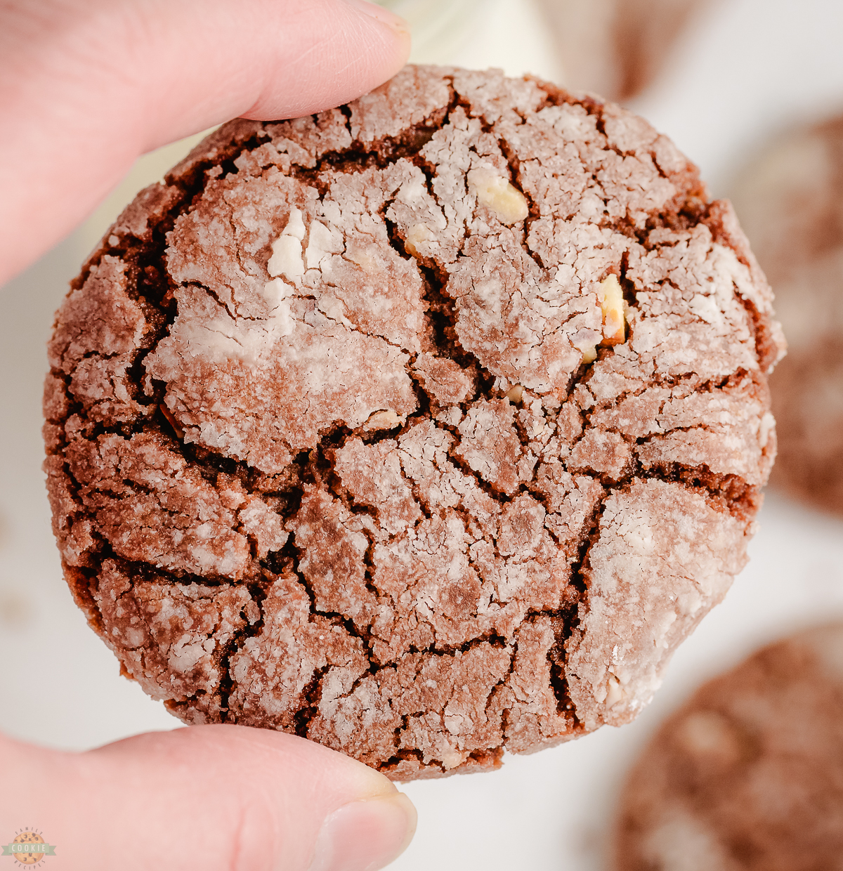 holding a Nutella Crinkle Cookie