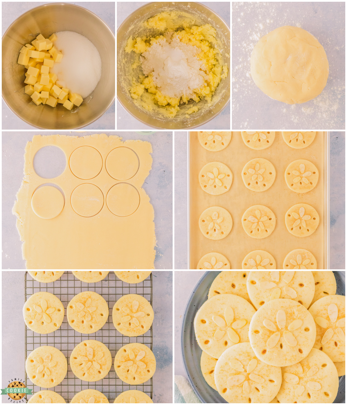 making sand dollar cookies