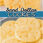These sand dollar cookies look like tiny edible seashells—soft, delicate, and almost too pretty to eat. Made with a buttery almond sugar cookie base, they bring a subtle coastal vibe and a sweet, nostalgic flavor in every bite.